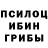 COCAIN Fish Scale Mykhailo Harbuz
