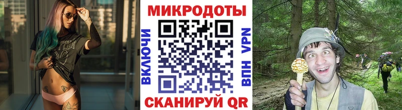 Галлюциногенные грибы Psilocybe  Волжск 